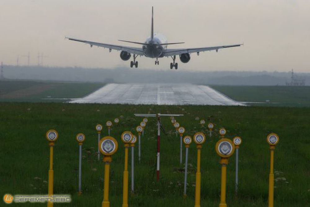 В России составят список аэропортов со сложной орнитологической обстановкой