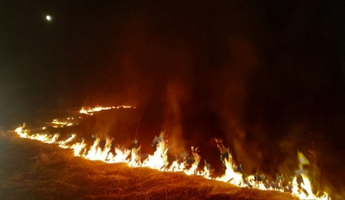 МЧС сообщило о стабилизации ситуации с природными пожарами