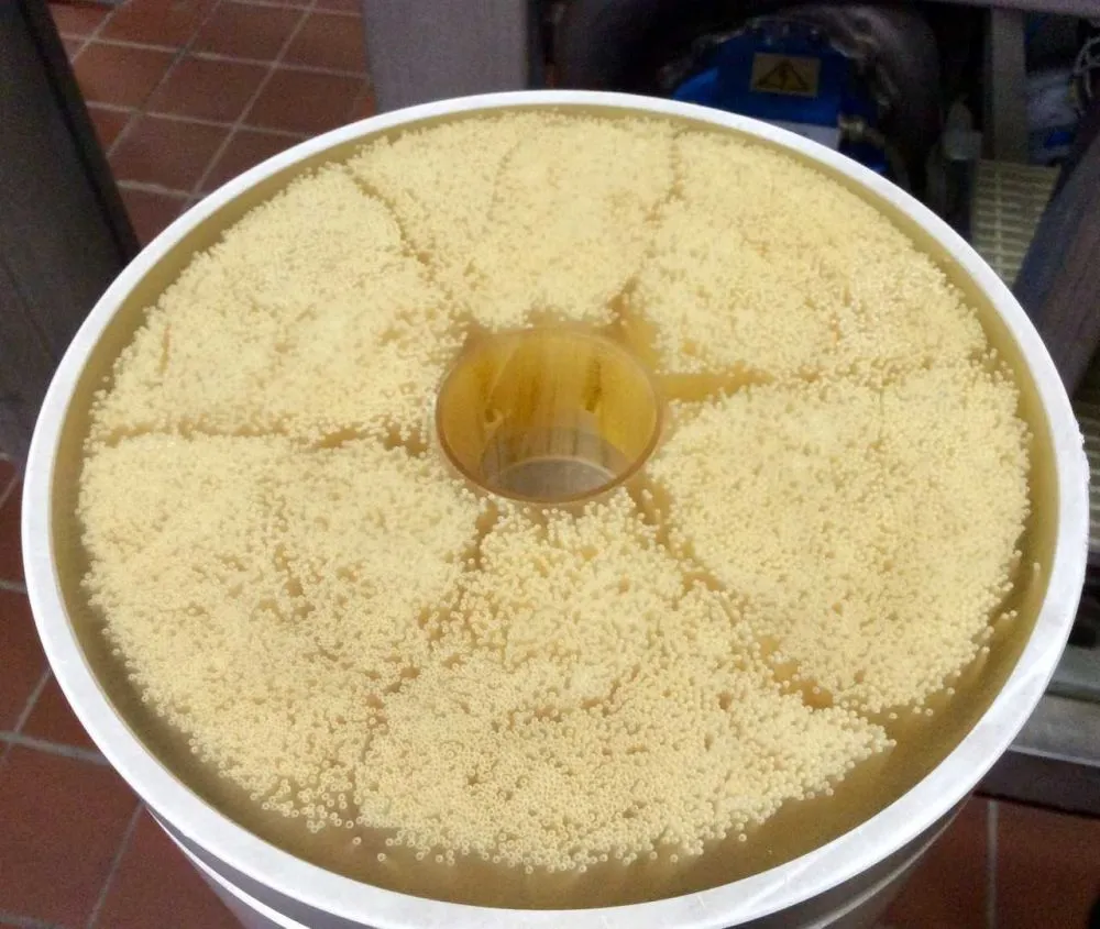 Западная станция водоочистки Мосводоканала