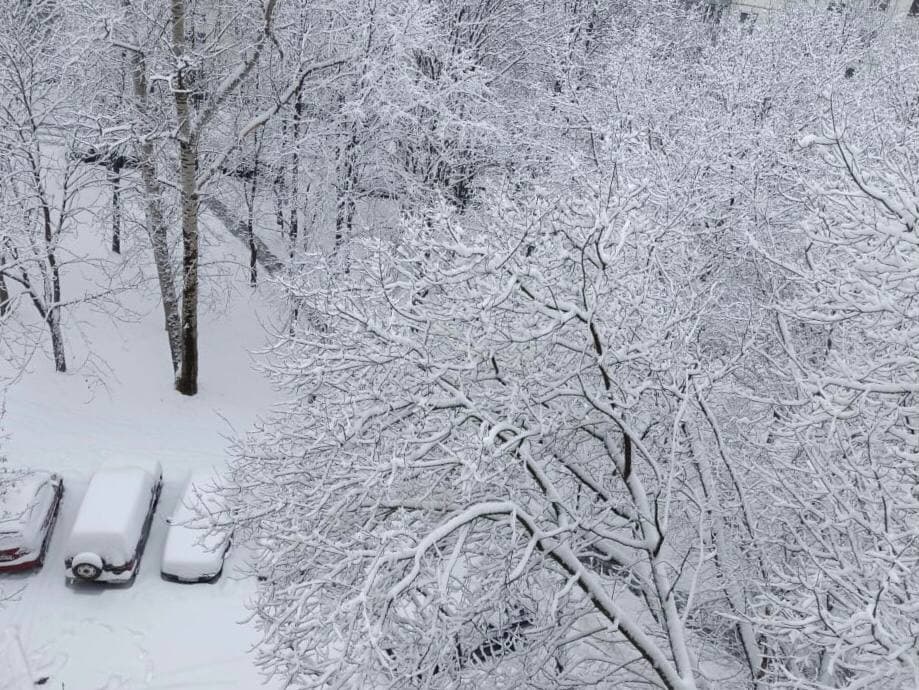 Последствия снегопада в Подмосковье устраняют около 16 тыс. дворников