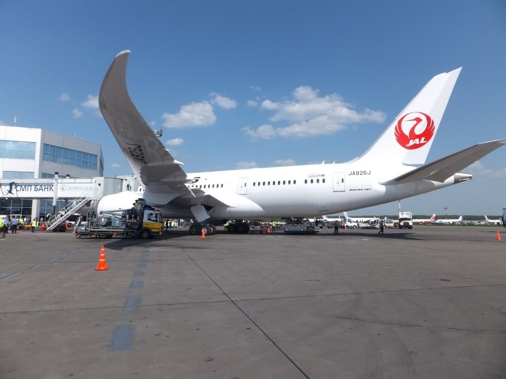 Вылетевший в Токио Dreamliner вернулся в "Домодедово" из-за неполадок с шасси