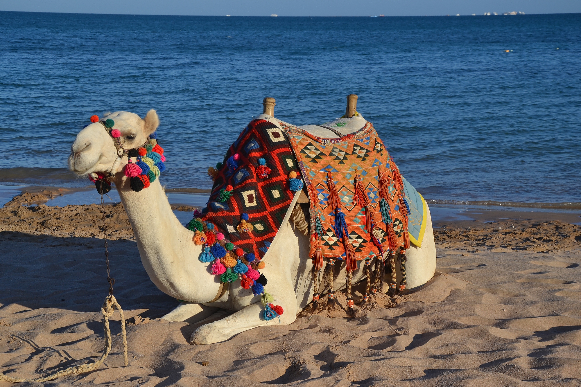 МИД РФ напомнил туристам свои рекомендации не покидать курортных зон в Египте