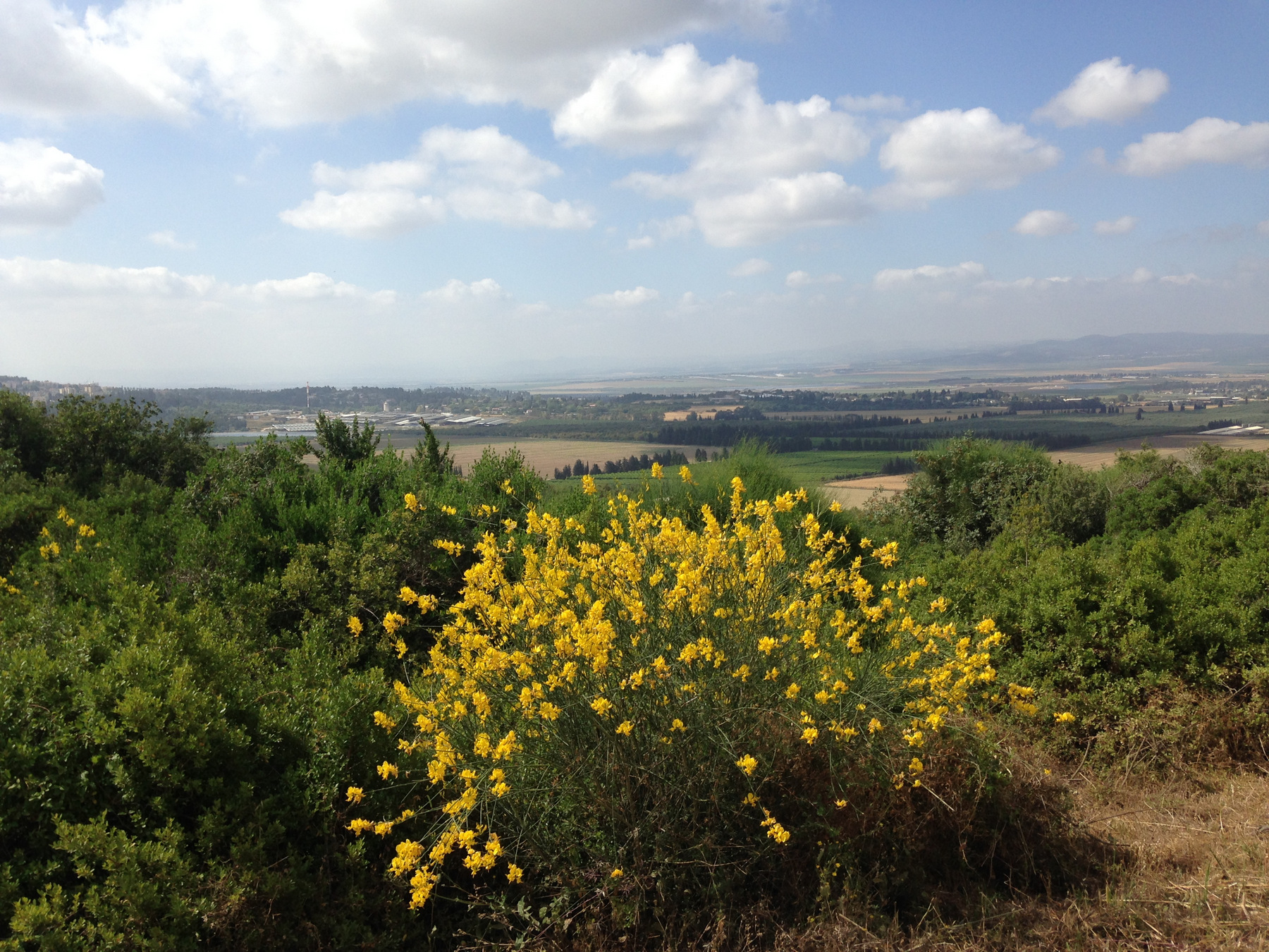 Марафон по холмам и долинам Израиля