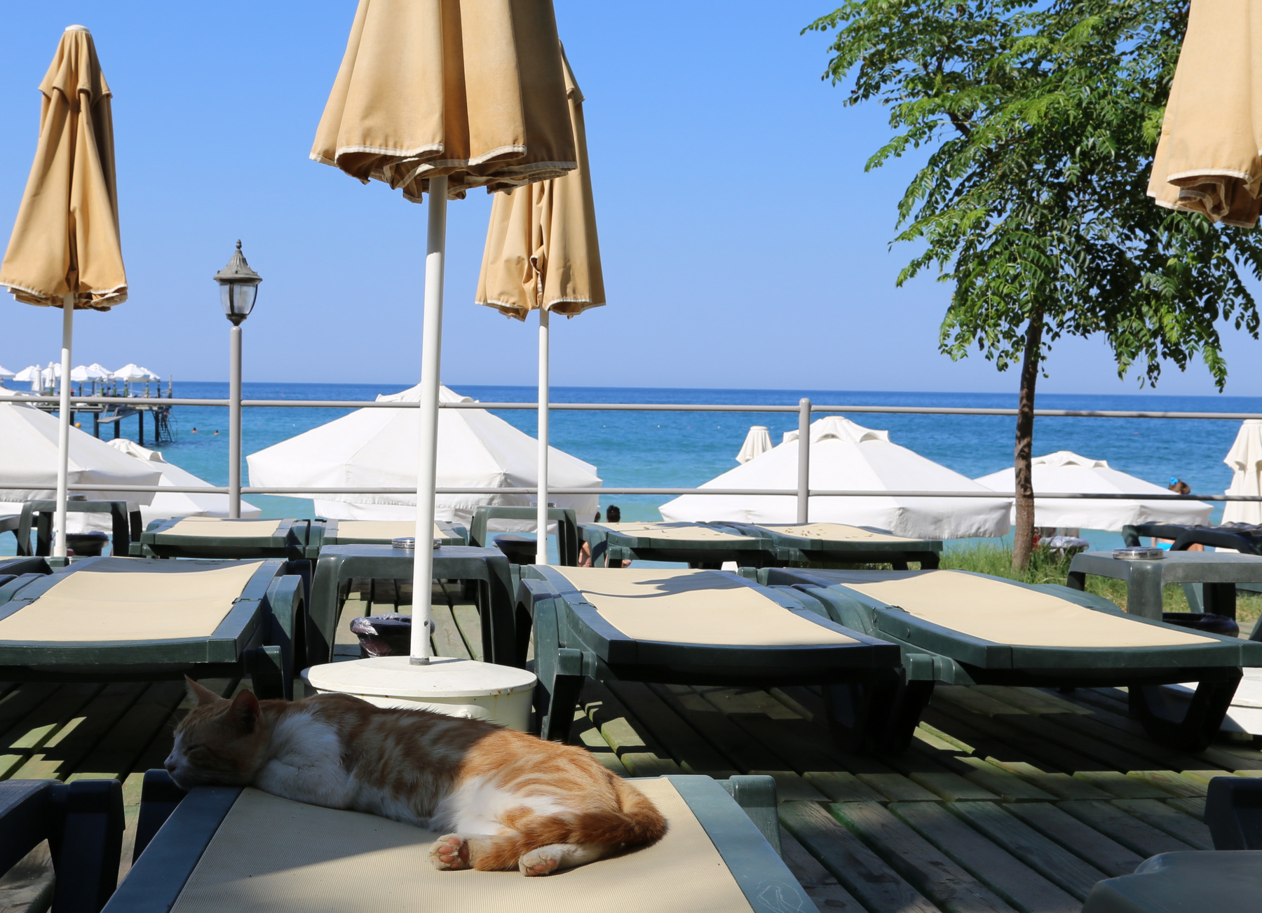 Спрос на летний отдых в Турции у европейских туристов упал на 40%