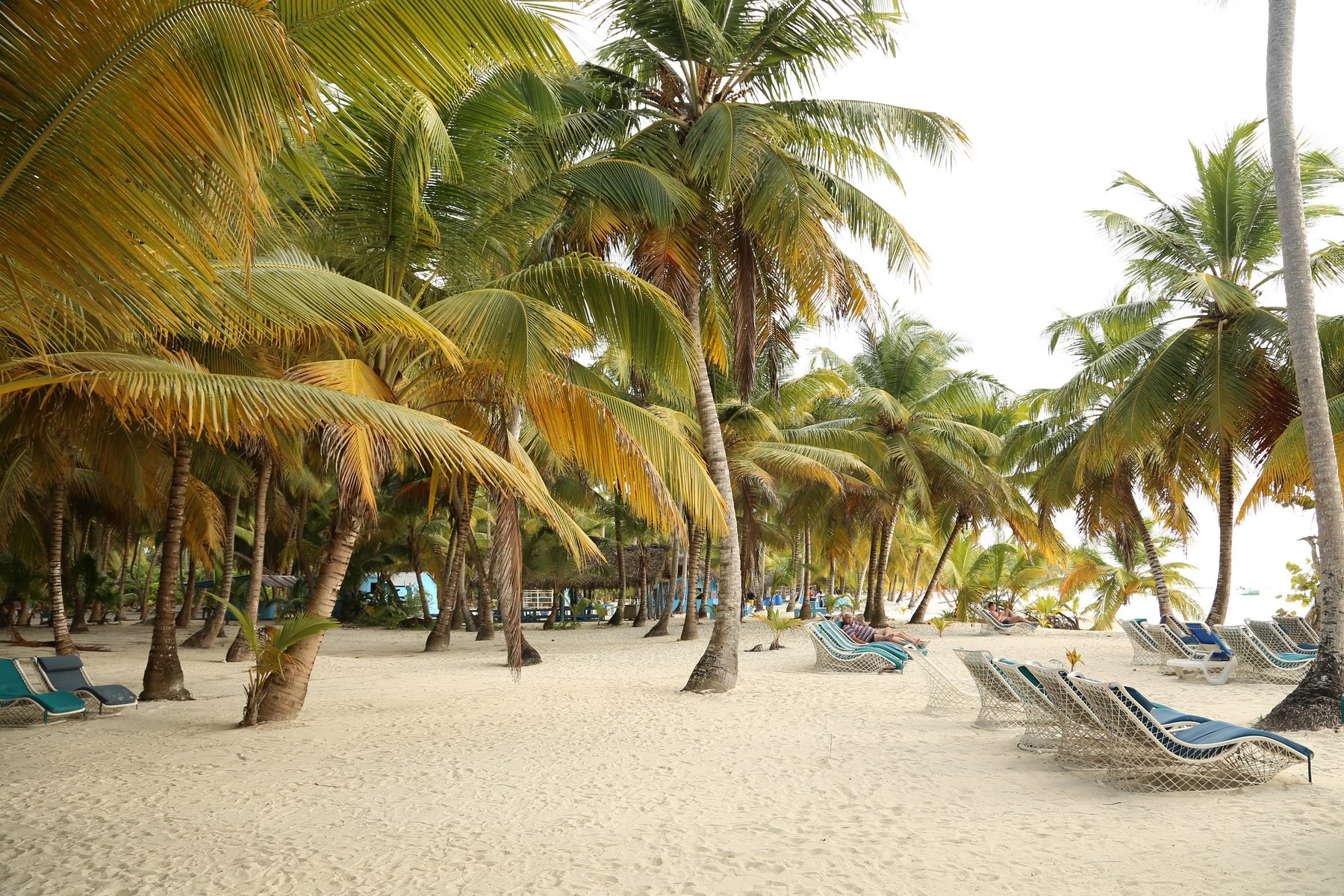 Поток туристов в Доминикану в первом полугодии вырос на 7%