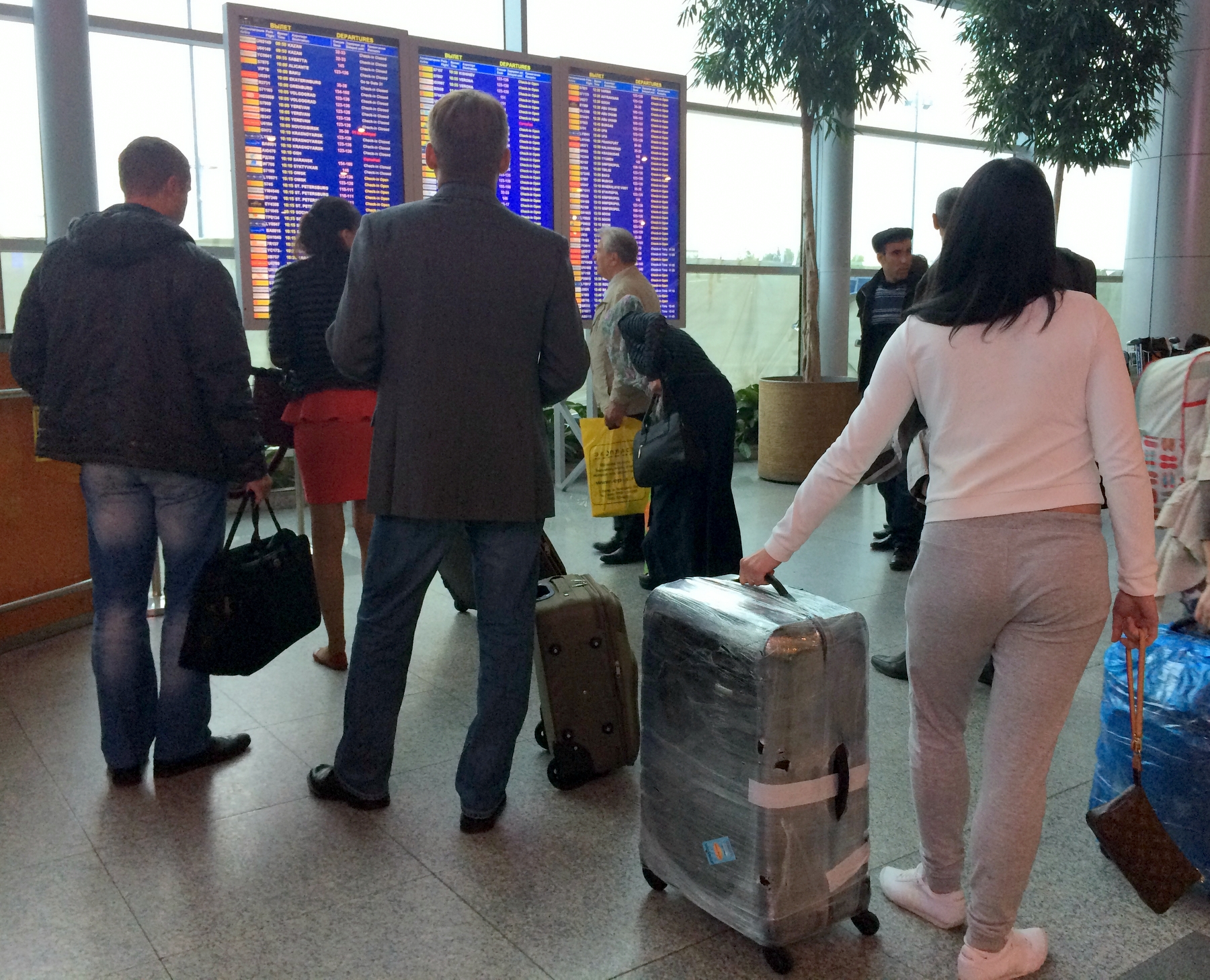 Аэроэкспресс бесплатно перевезет пассажиров отмененных рейсов из Домодедово в Москву этой ночью