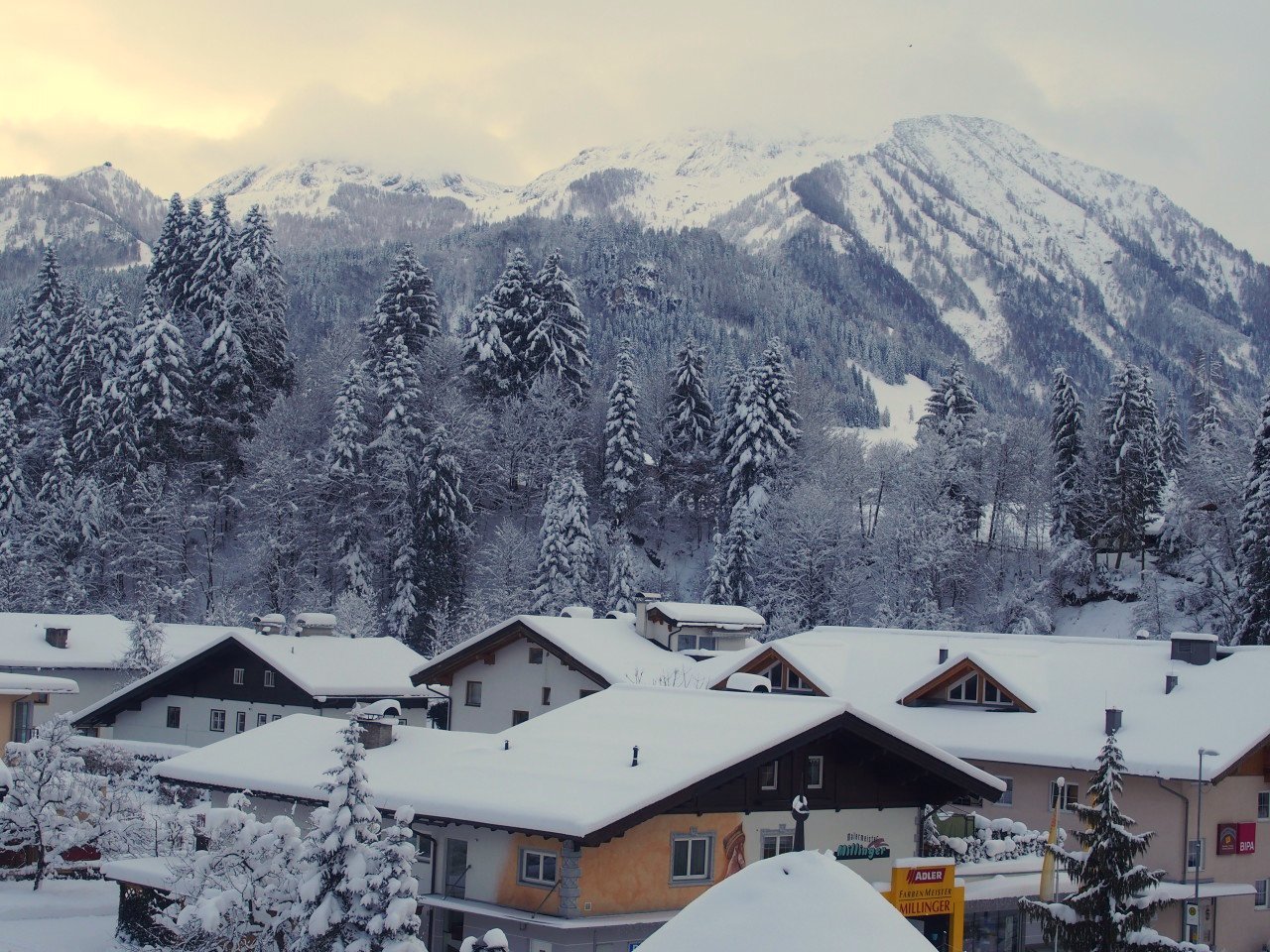 Австрия объявила строгий "рождественский" карантин для прибывающих из-за рубежа