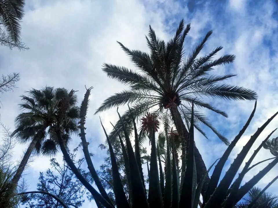 Розовый Марракеш, рыбный Агадир