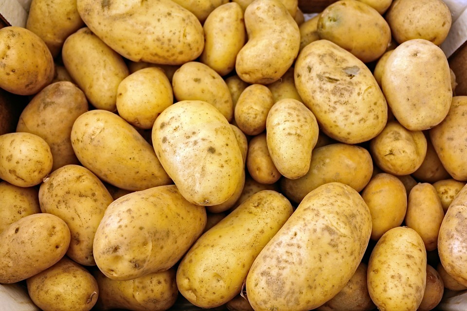 Гости фестиваля в Тамбове съели почти 400 килограмм картошки