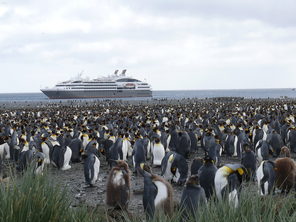 Море Росса в Антарктике станет крупнейшим морским заповедником в мире