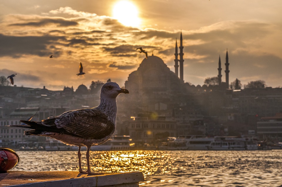 Туроператоры назвали Турцию направлением №1 для зарубежного отдыха на майские праздники