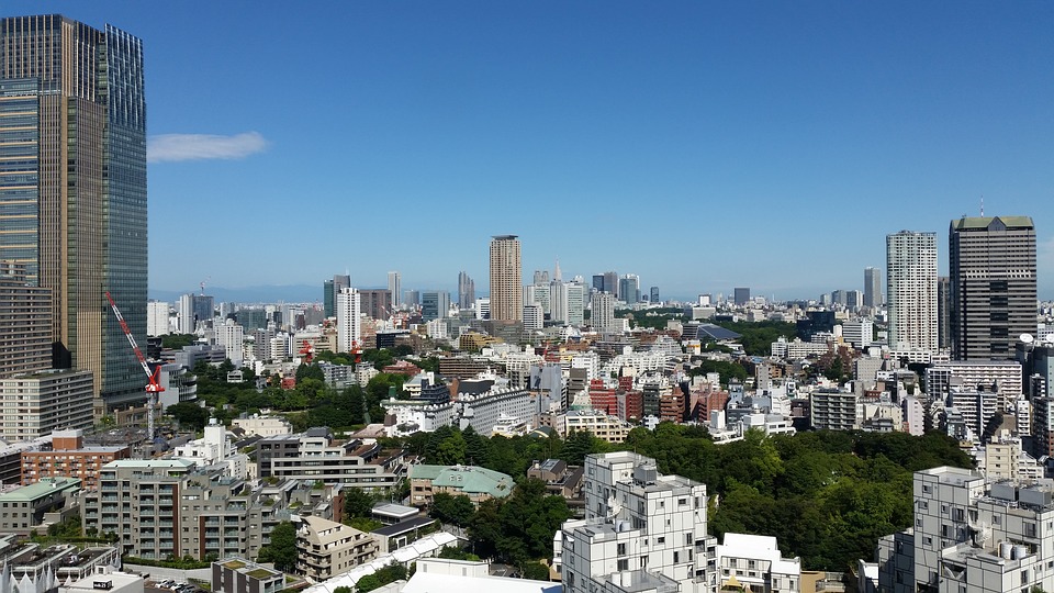 Полиция Токио призвала организаторов картинг-туров обеспечить безопасность туристов