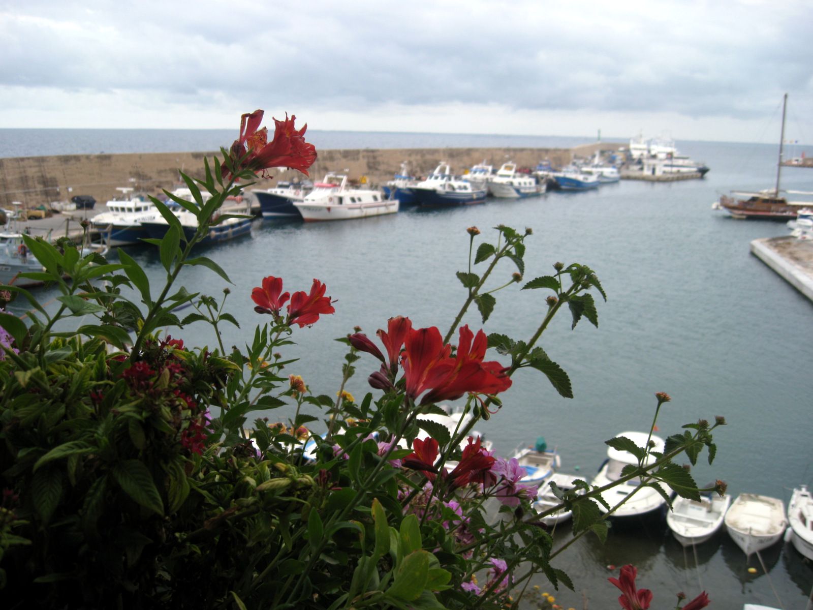 "Человеческие замки" и тунец в Каталонии
