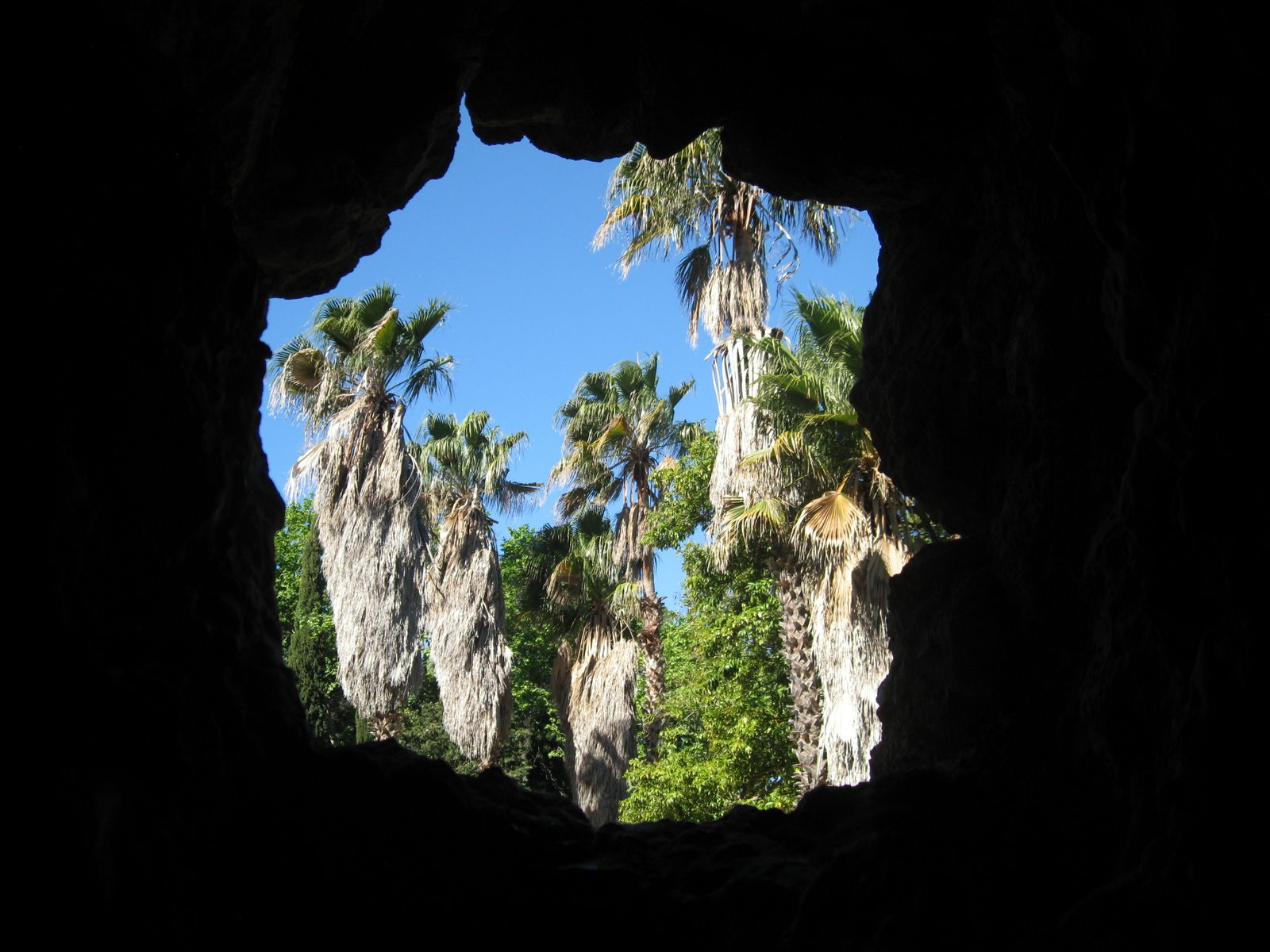 "Человеческие замки" и тунец в Каталонии