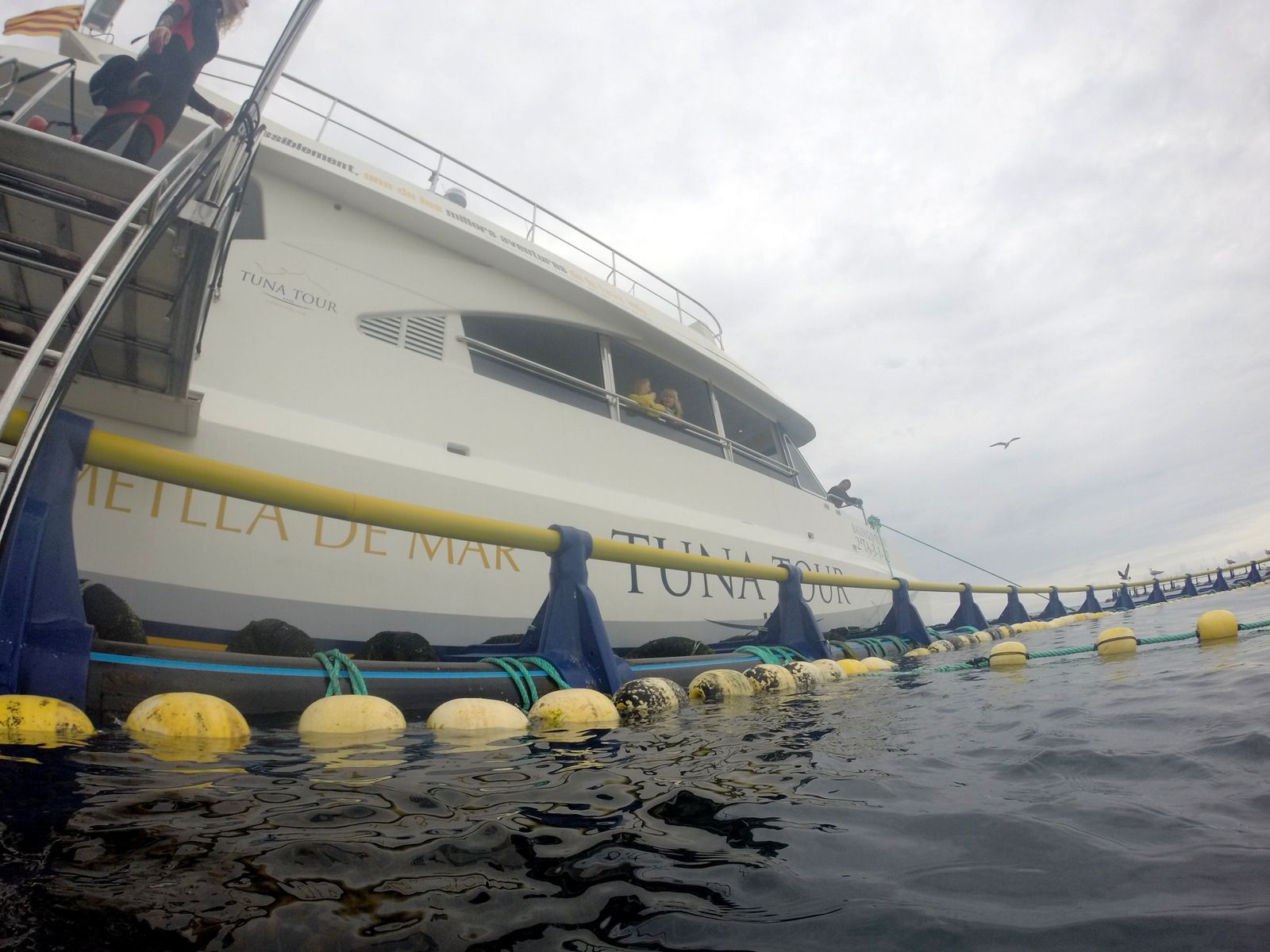 "Человеческие замки" и тунец в Каталонии