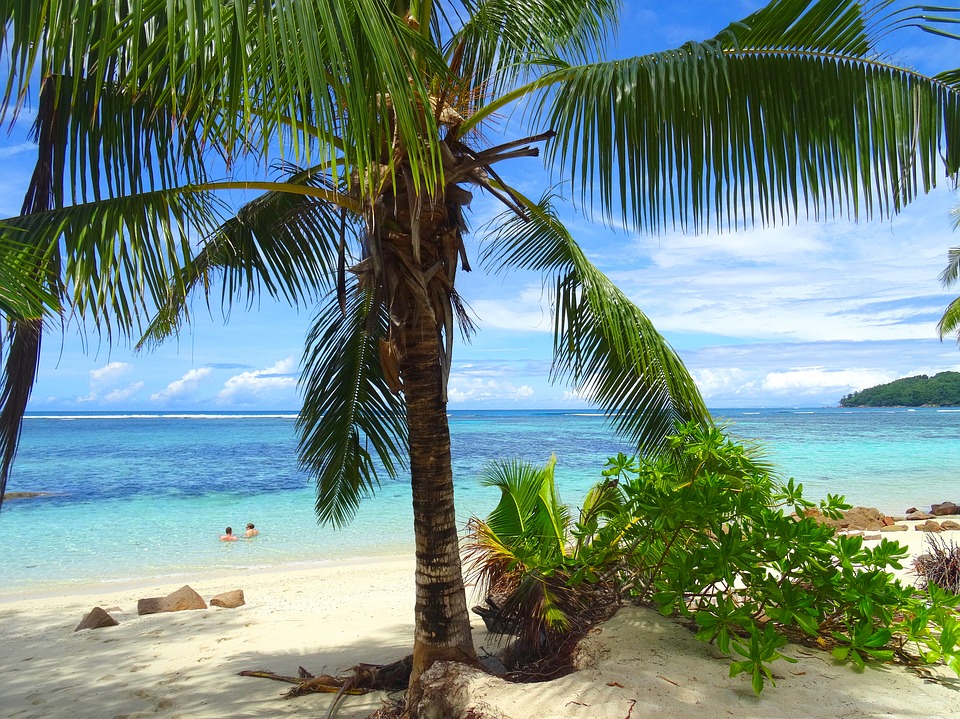 Билет на Сейшелы стал самым дорогим на Новый год, в Чебоксары – самым дешевым