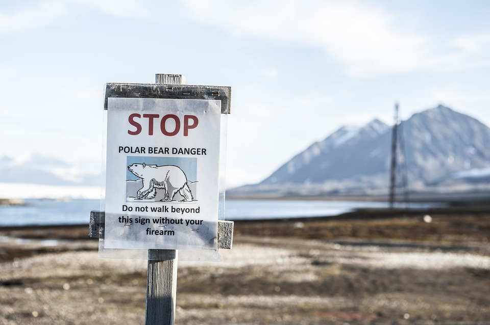 Ростуризм обещает работать над доступностью Арктики, но не в ущерб экологии