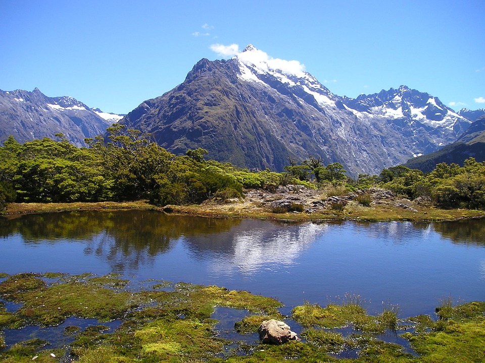 Новая Зеландия хочет изменить название страны на Аотеароа
