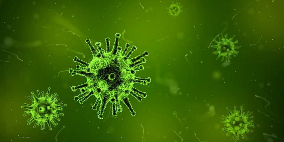 В РФ выявлен 81 случай заражения британским штаммом коронавируса