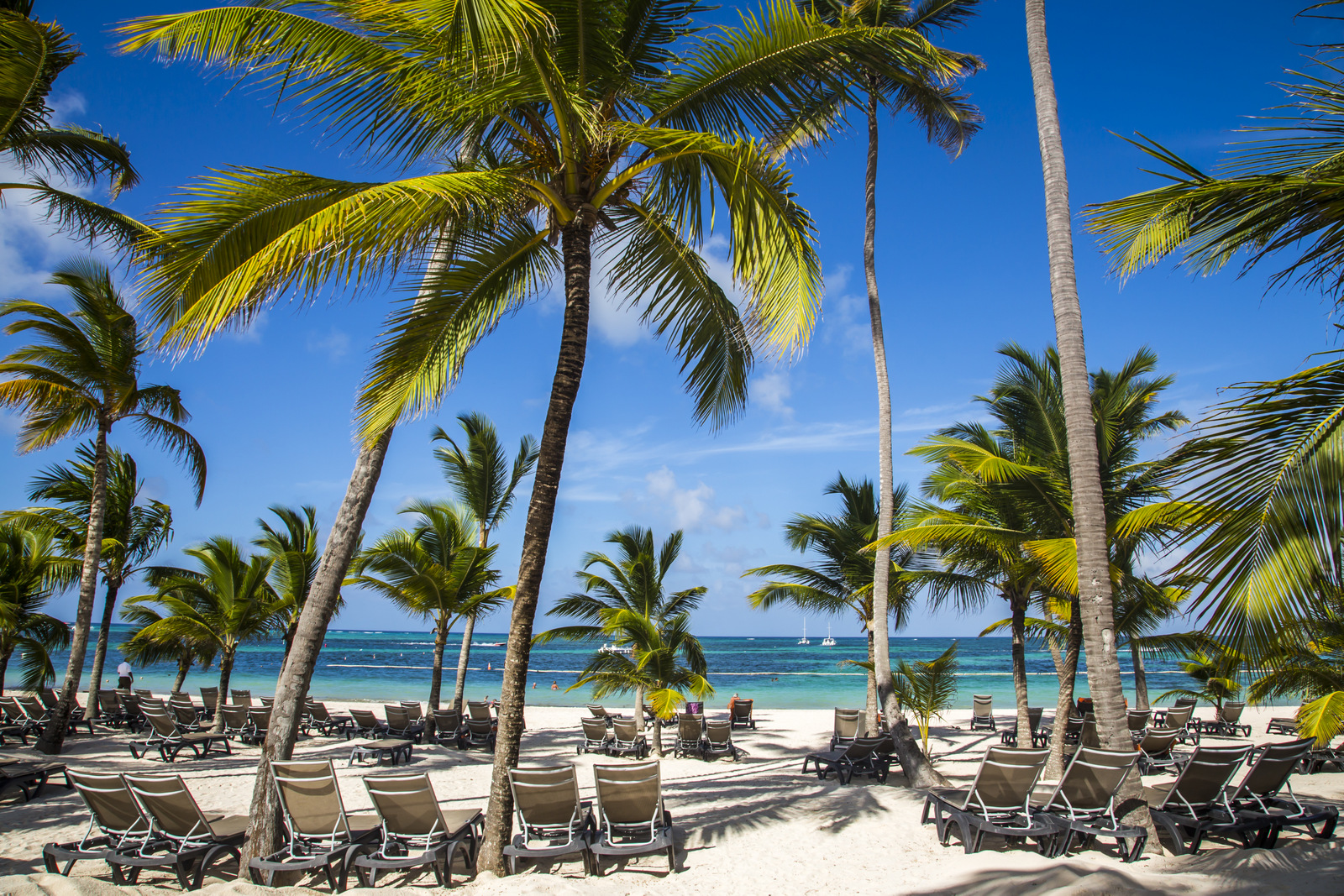 Более 60% российских туристов выбирают в Доминикане курорт Пунта-Кана