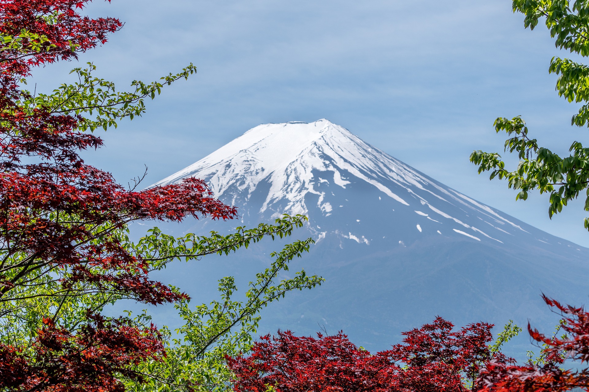 Япония 10 июня возобновит прием иностранных туристов в составе тургрупп