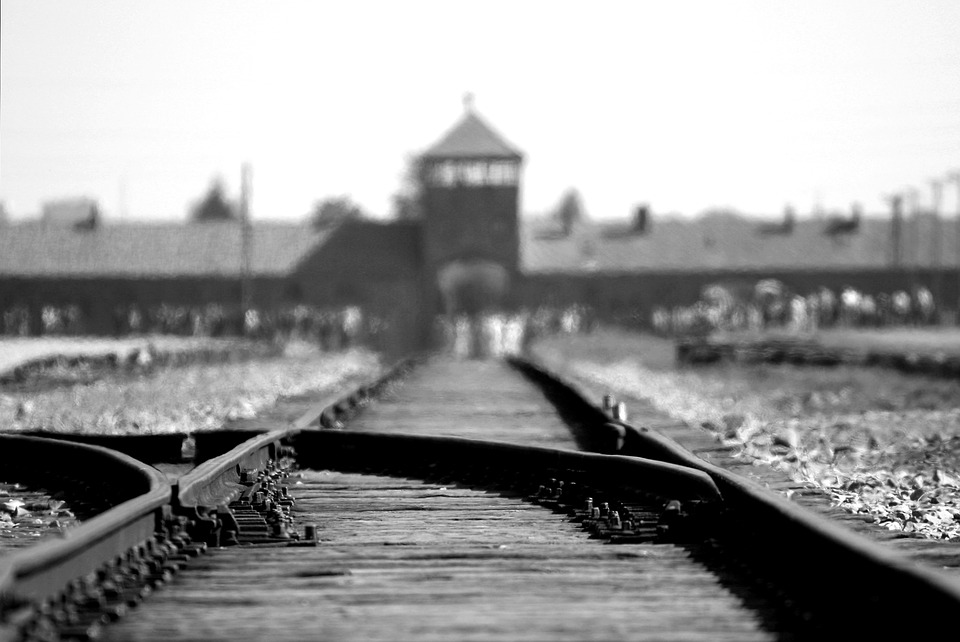 Американского туриста арестовали за попытку украсть кусок рельсы из музея Освенцима