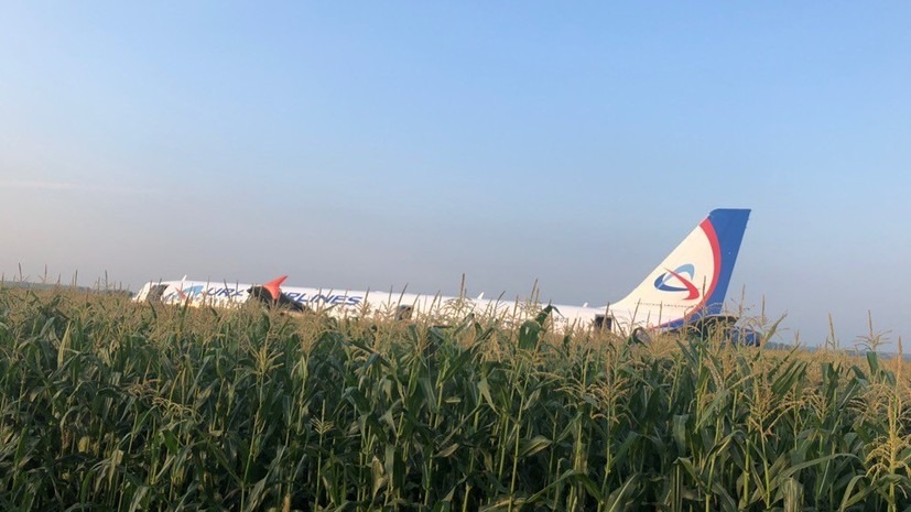 Самолет "Уральских авиалиний" совершил аварийную посадку в поле рядом с Жуковским