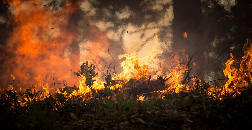 Генконсульство: туроператоры отменили экскурсии в районе Антальи, где бушуют лесные пожары