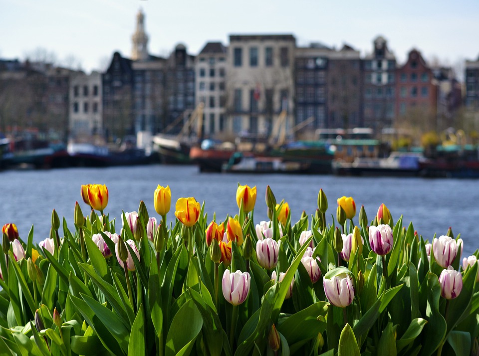 Амстердам страдает от недостатка туристов