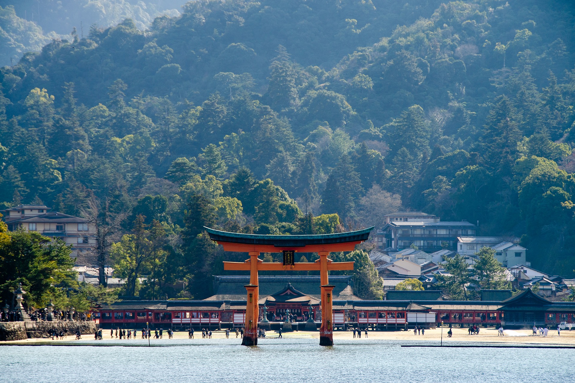 Япония вернется к вопросу о возобновлении международного туризма после окончания Паралимпиады