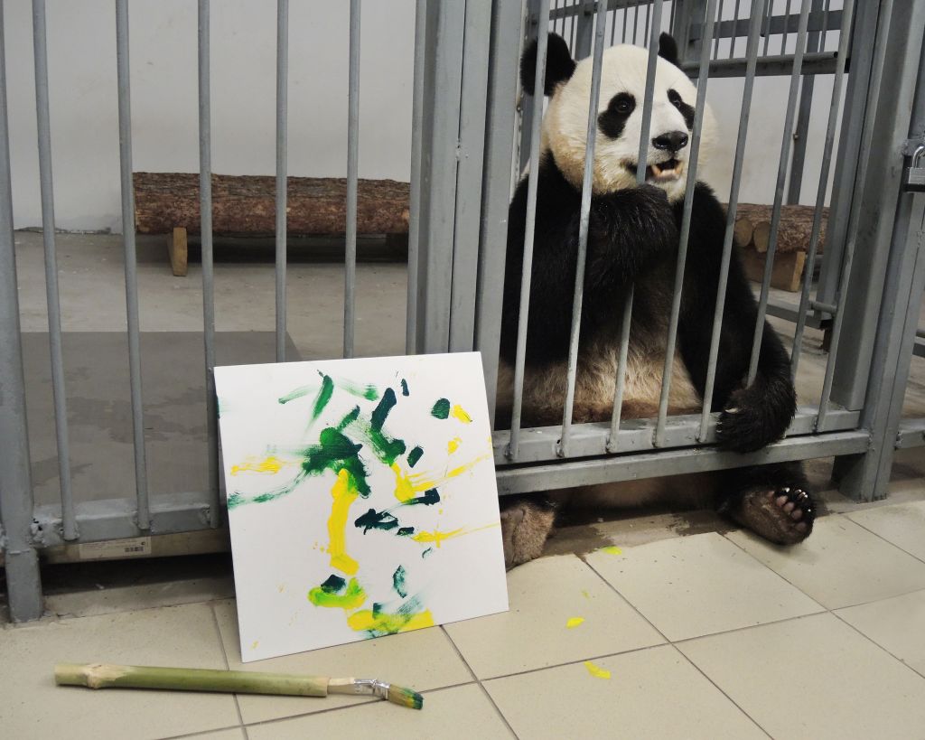 Большие панды из Московского зоопарка начали учиться рисовать