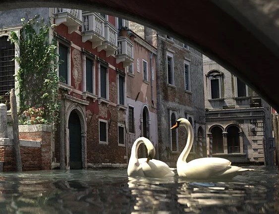 Дельфины и лебеди возвращаются в каналы Венеции на фоне отсутствия туристов