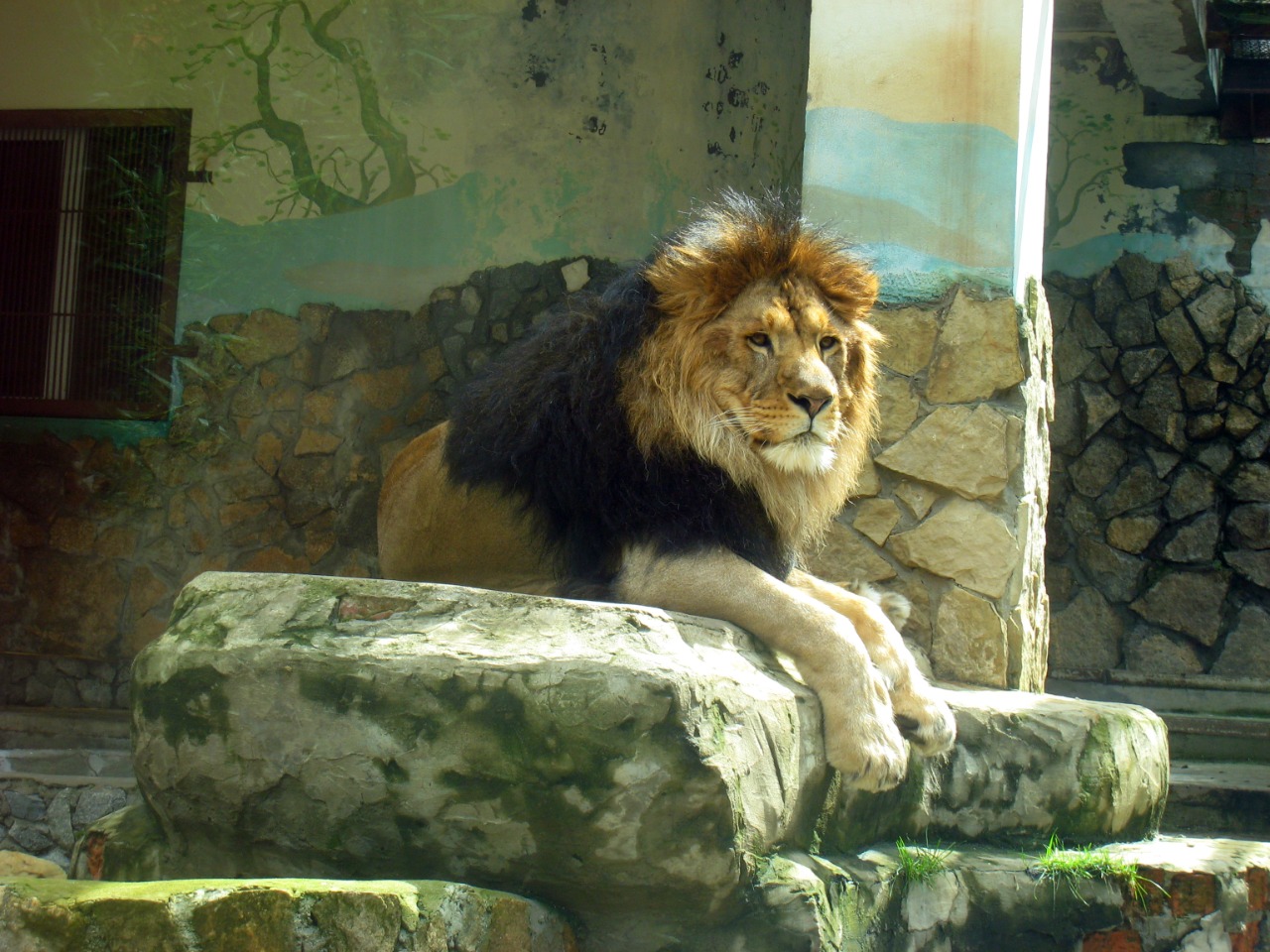 Зоопарк Екатеринбурга несет серьезные убытки из-за отсутствия посетителей
