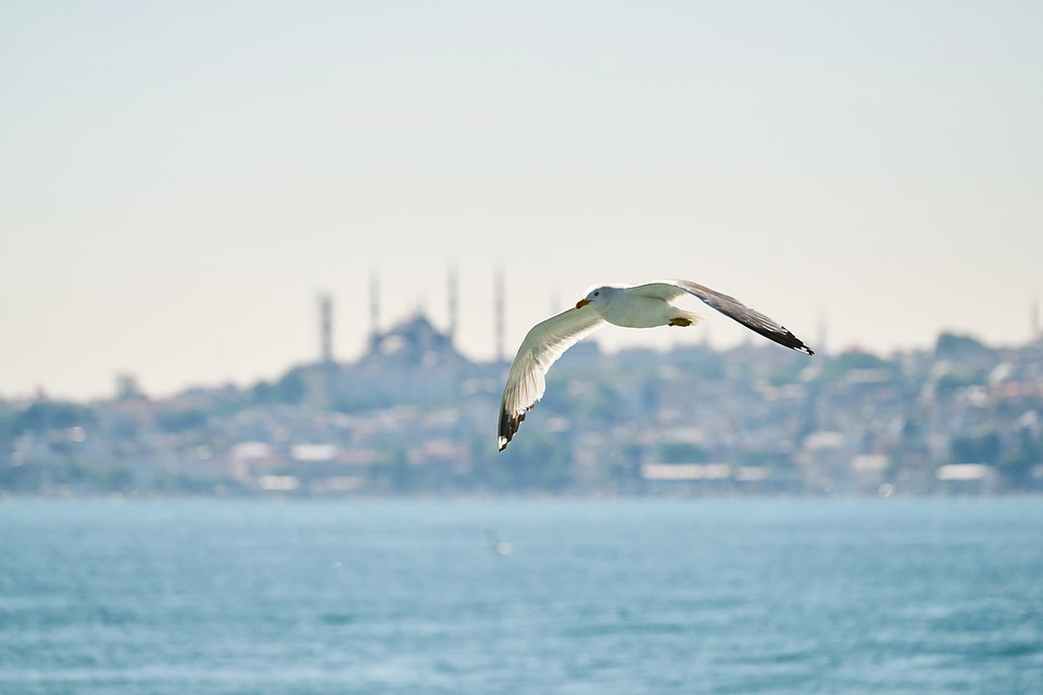 "Аэрофлот" откроет с 25 июня дополнительные рейсы в Турцию