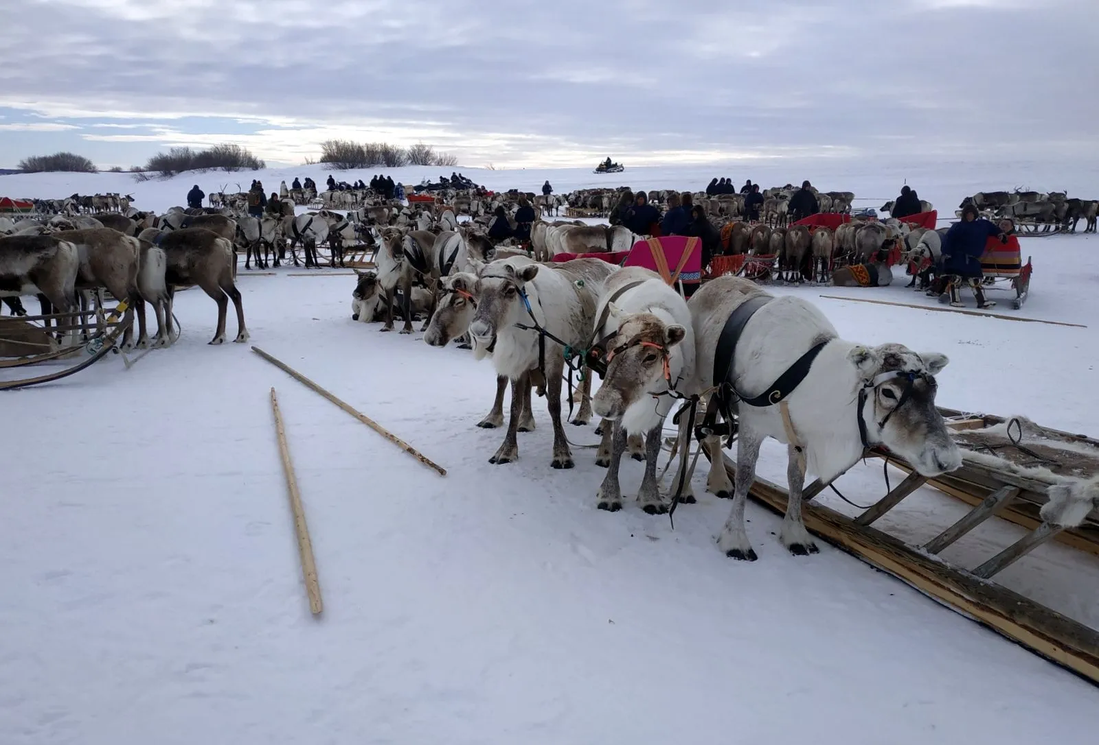 Праздник ямальских тундровиков