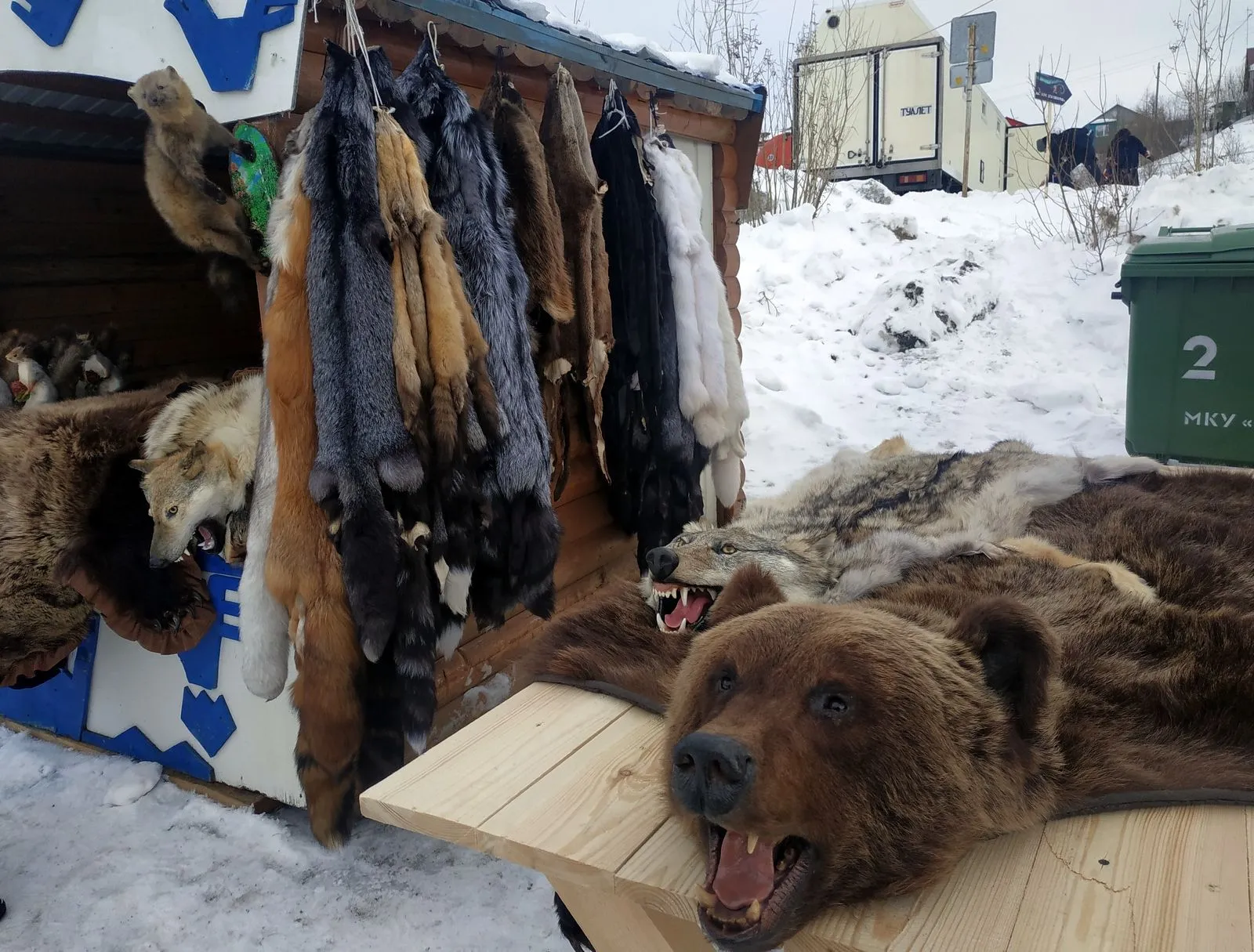 Праздник ямальских тундровиков
