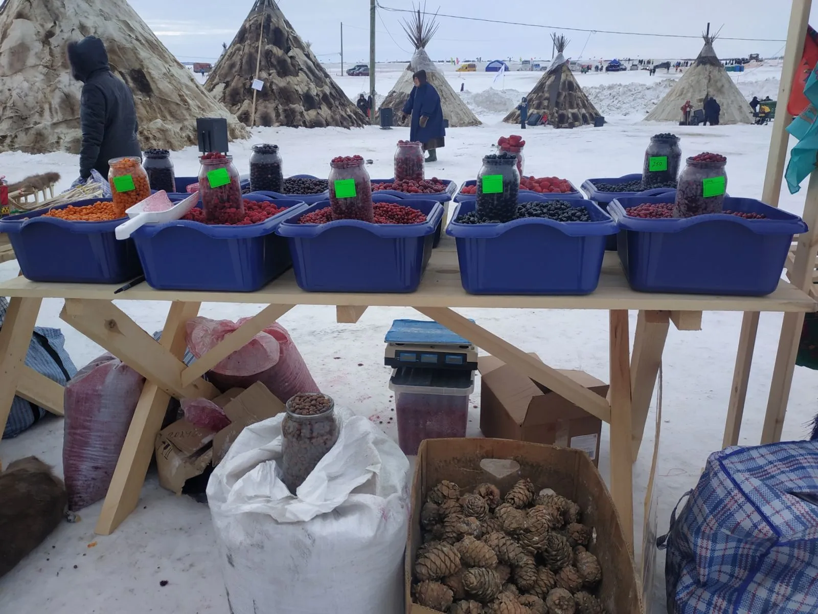 Праздник ямальских тундровиков