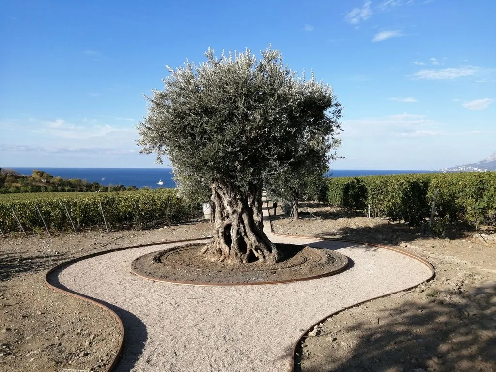 Winepark, Крым