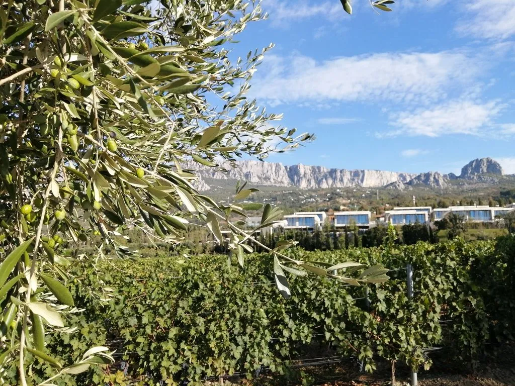 Winepark, Крым