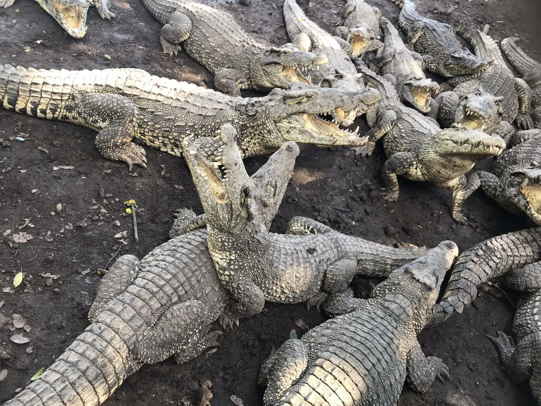 Что посмотреть на Кубе, или 10 самых интересных достопримечательностей острова Свободы