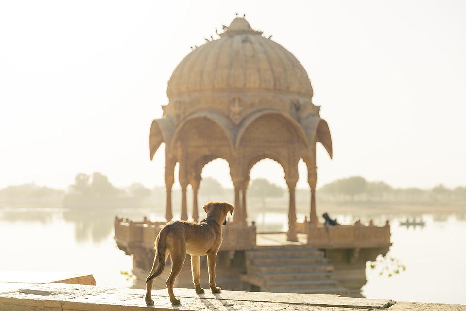 В Индии с 1 декабря ужесточат правила въезда для туристов в связи с новым штаммом COVID-19