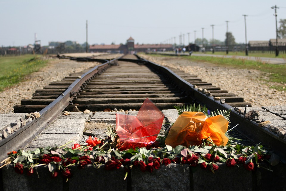 Туристку из Нидерландов задержали в Польше за нацистское приветствие у ворот Освенцима