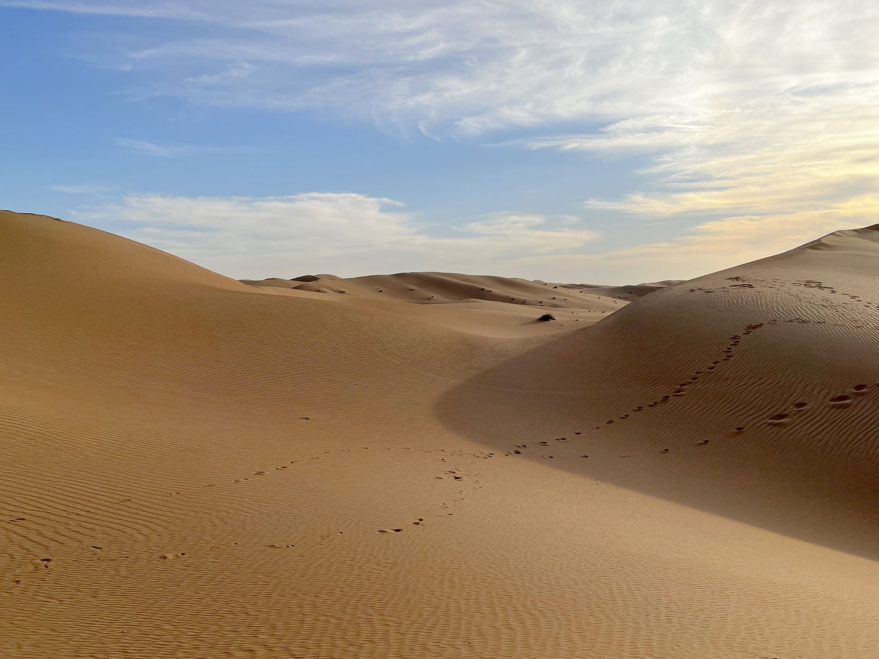 Лувр, акулы, бэтмен и восточная роскошь в Абу-Даби