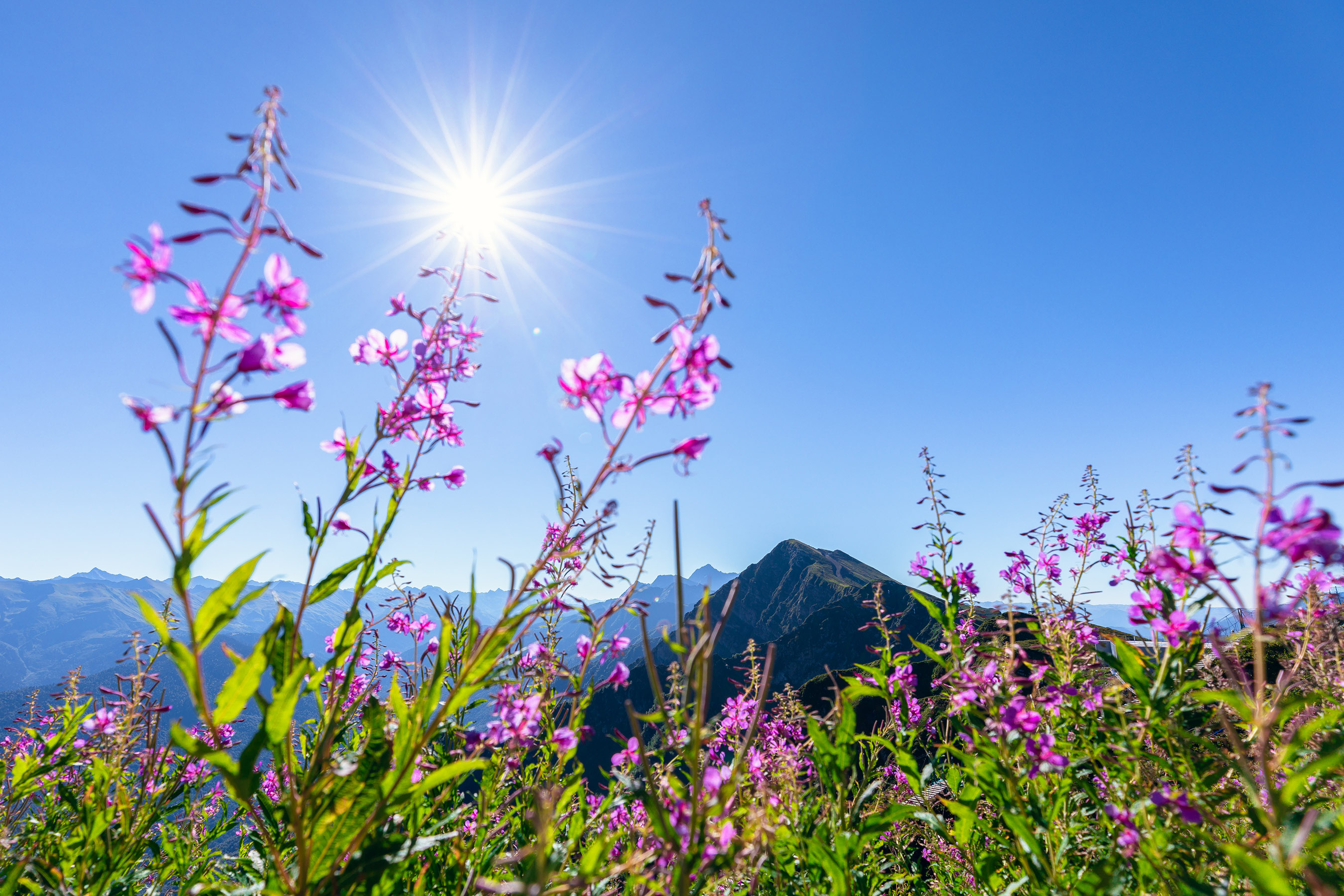 Курорт "Роза Хутор" летом предложит 110 км пеших троп для прогулок в горах