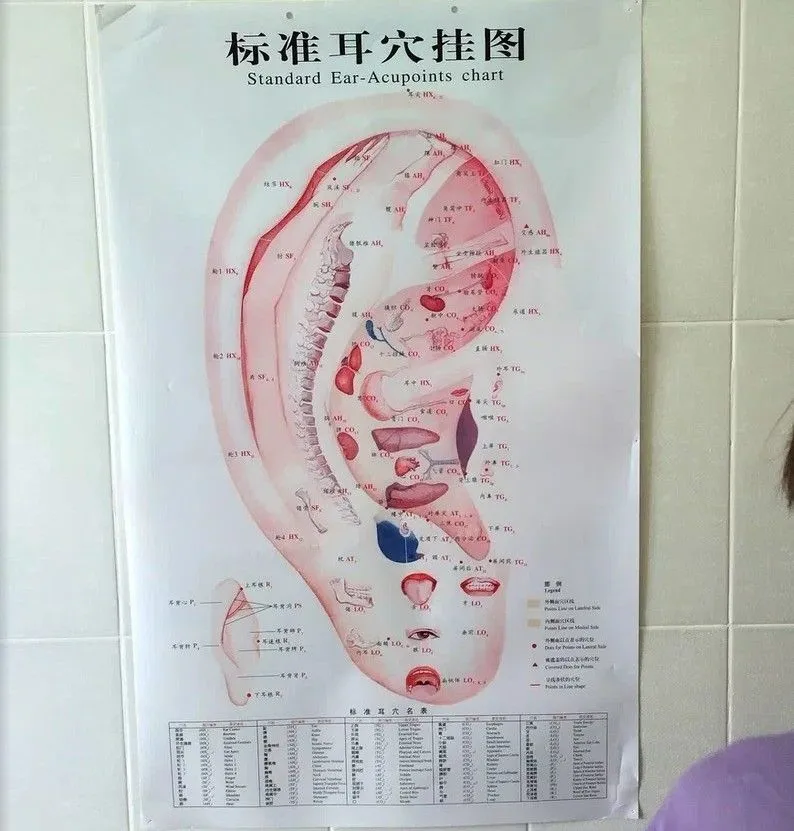 Особенности отдыха на Байкале в 2022 году