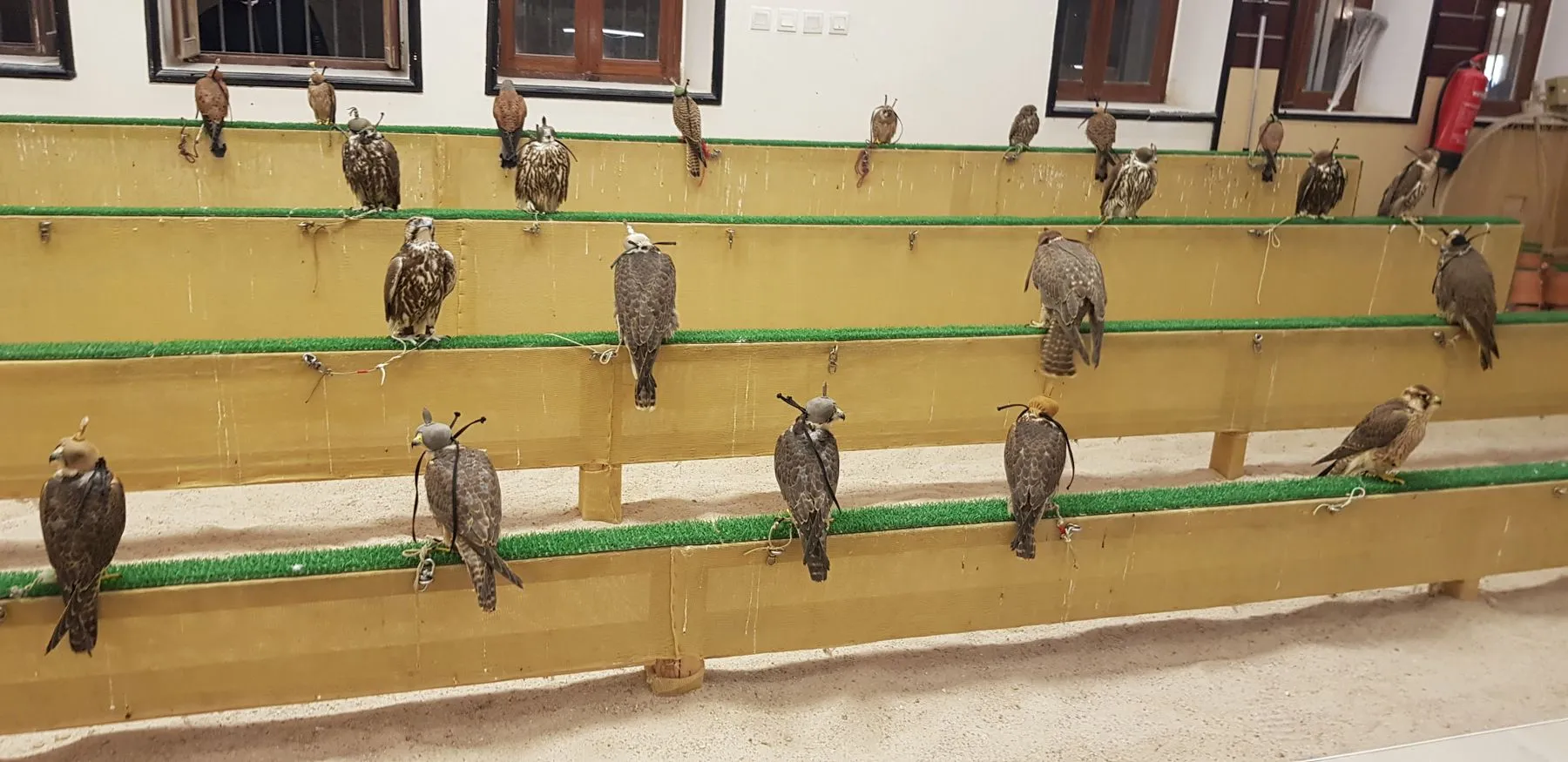 Год Катара, или Почему в 2022 стоит побывать в стране