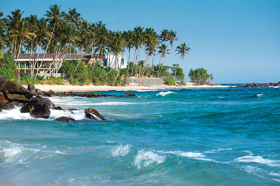 Шри-Ланка все же продлила режим бесплатных виз для туристов из России