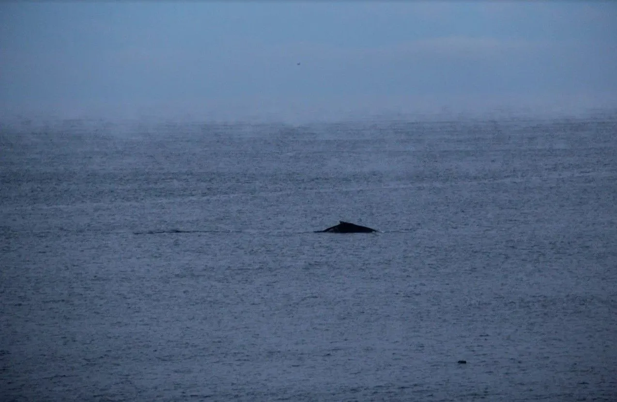 Териберка, Мурманская область