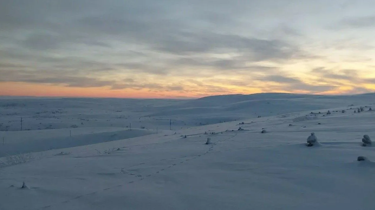 Териберка, Мурманская область