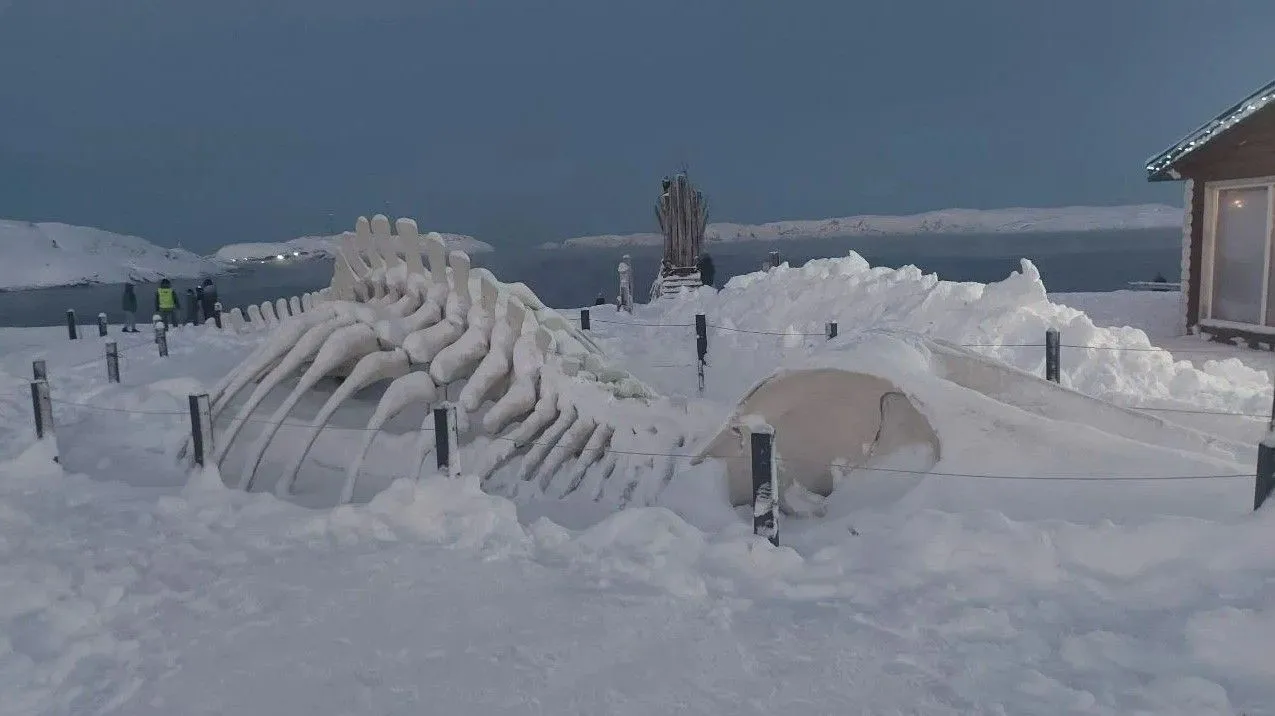 Териберка, Мурманская область